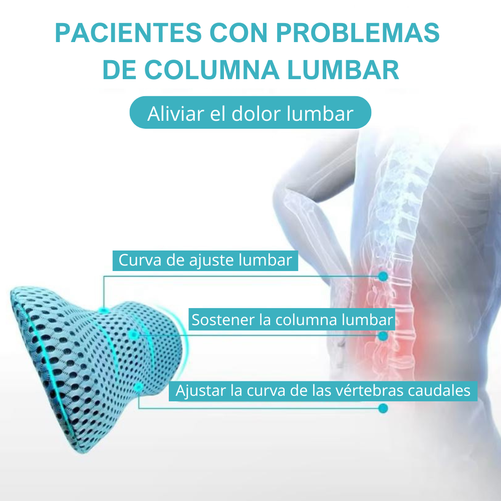 Cojín de apoyo lumbar con funda de almohada